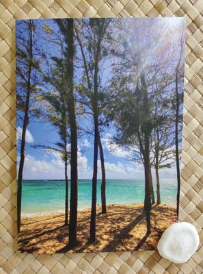 Serenity - 4 Pack