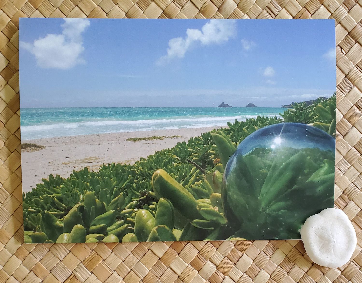 Naupaka &amp; Glass Floats - 4 Pack