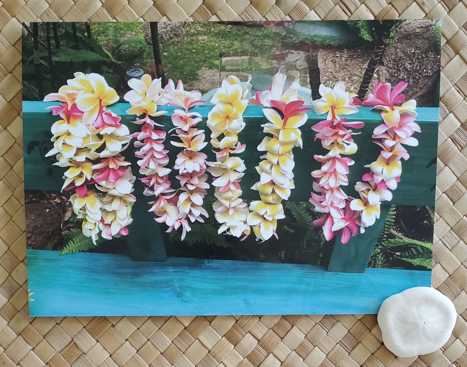 Lei of Love - 4 Pack