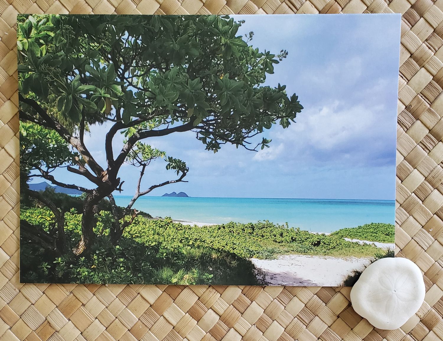 Calming Moments /  4-pack