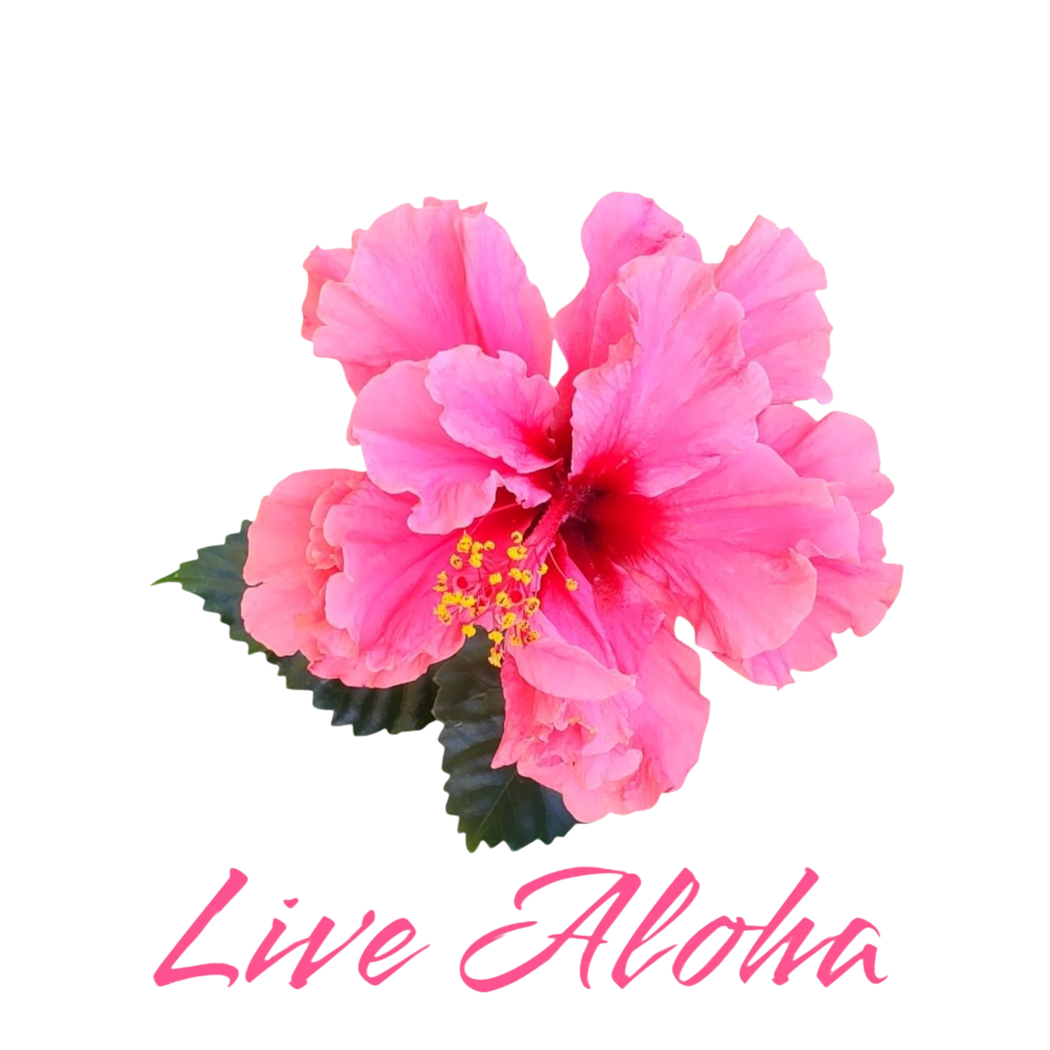 Live Aloha Sticker