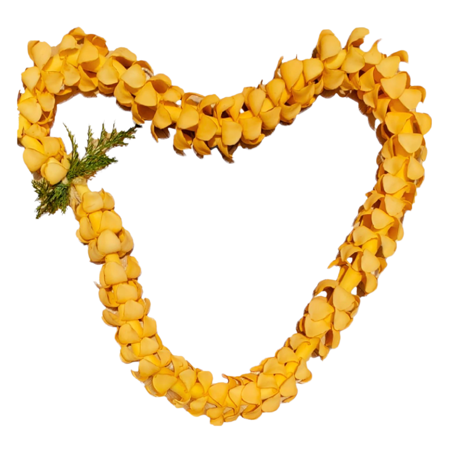Puakenikeni Heart shaped Lei - Clear Sticker