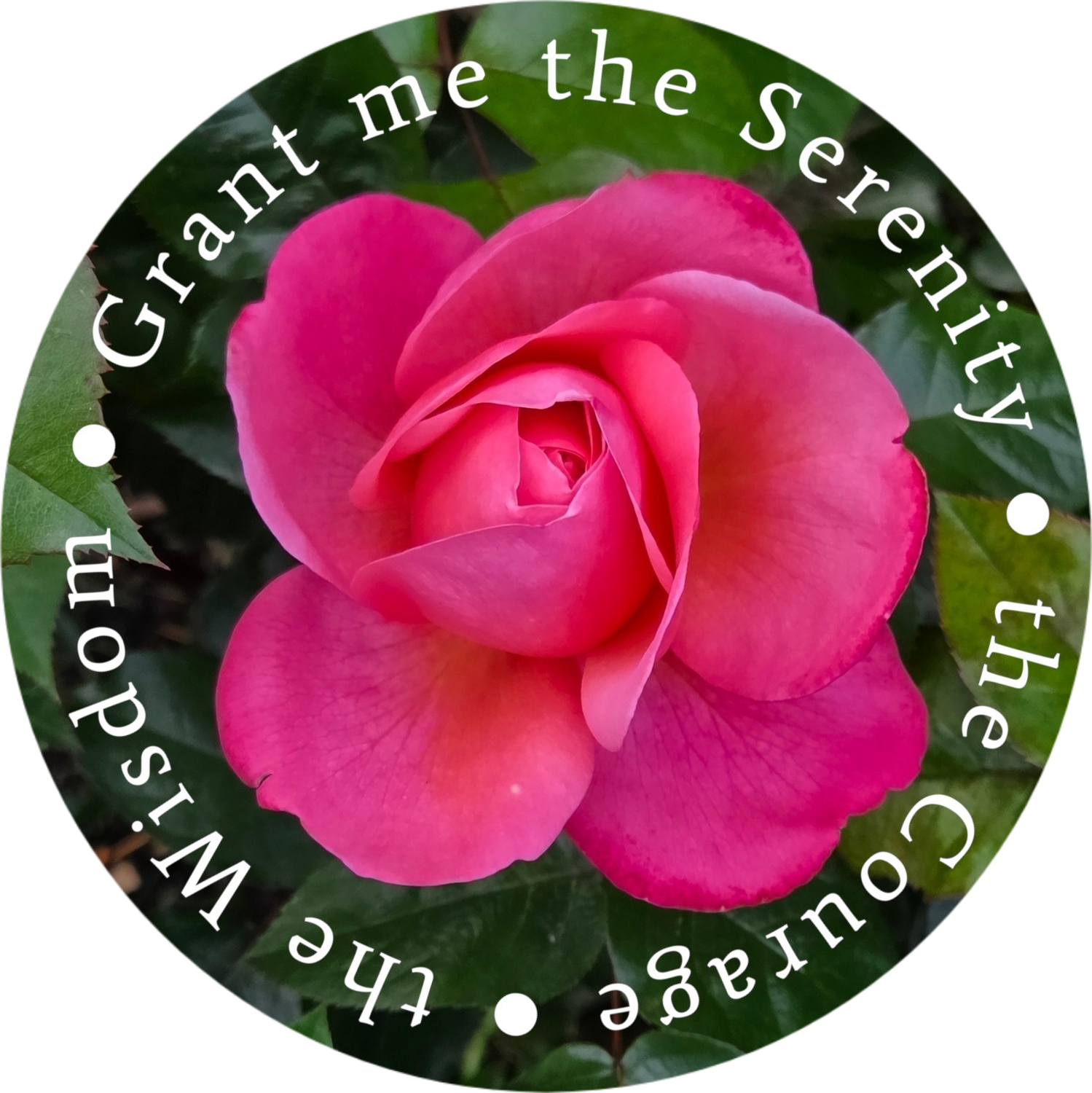 Serenity - Sticker