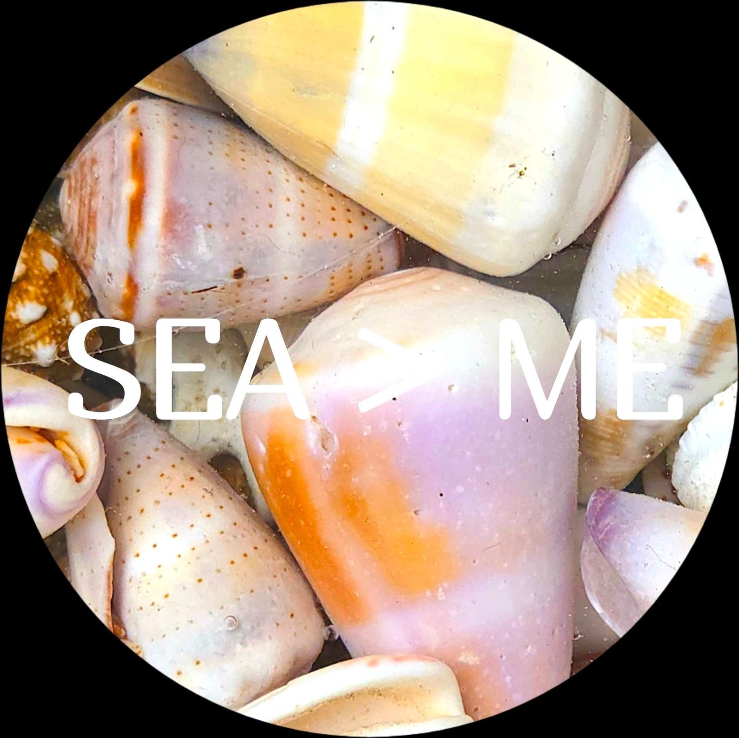 SEA < ME - Sticker