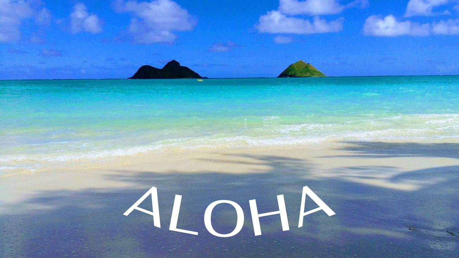 Aloha - Sticker