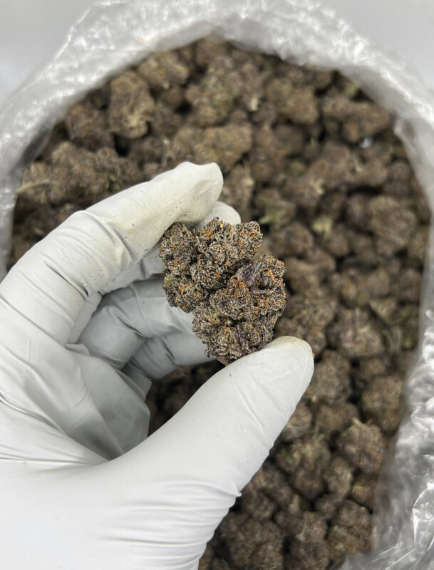PURPLE FACTORY