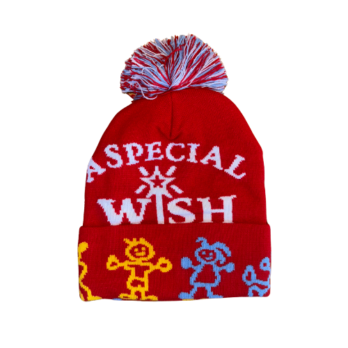 A Special Wish Winter Hat
