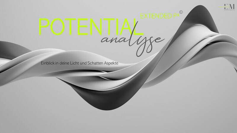Potentialanalyse extended