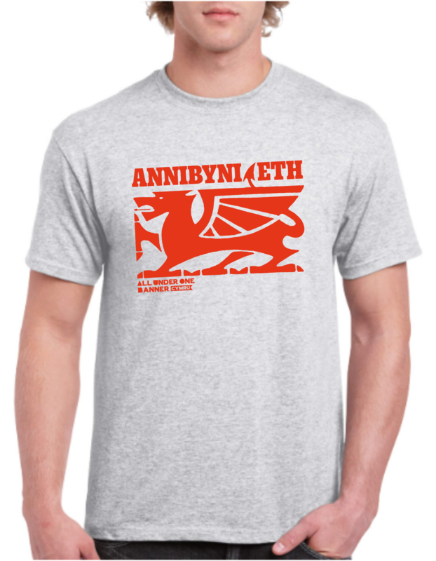 Crys t Llwyd - ANNIBYNIAETH - Grey TShirt