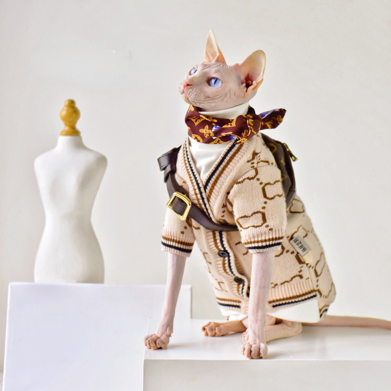 &#39;Eloquence&#39; Quality Sweater for Sphynx&#39;s | Hairless Cat Clothes