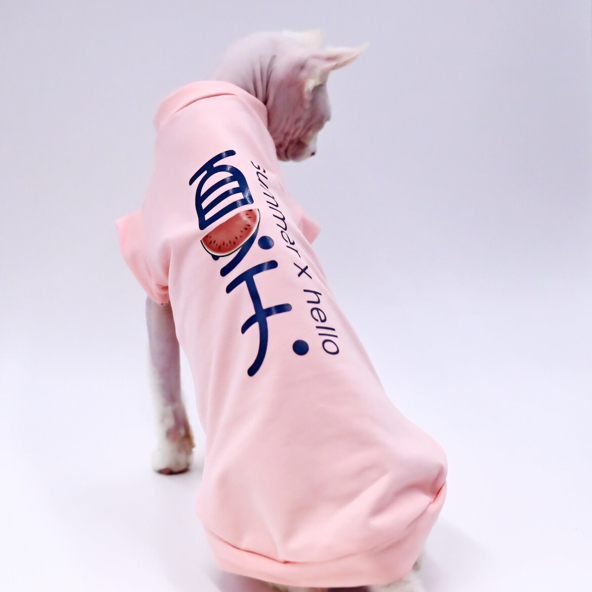 &#39;Watermelon Pink&#39; Quality Shirt For Sphynx&#39;s | Hairless Cat Clothes