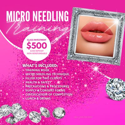 Micro Needling Lip 💋 Training &amp; Kit Deposit