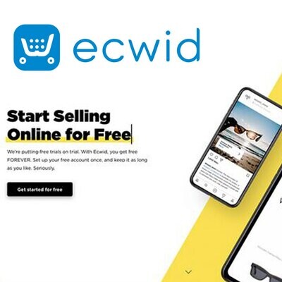 Set Up / Design Your Free Ecwid Store / Website Up To 10 Products/Services
