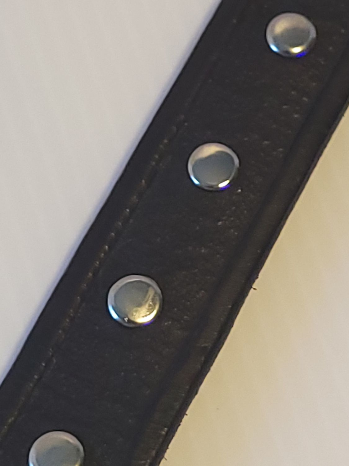 Hand-Tooled Leather Dog Collars, Large Dog, X-Large Dogs, Studded