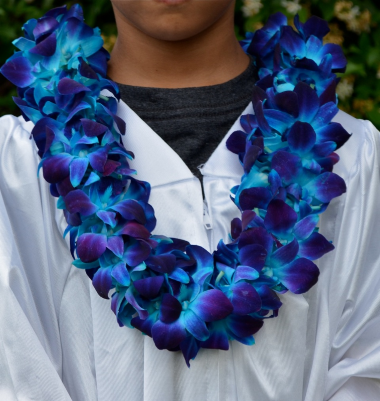 Graduation Lei-Orchid
