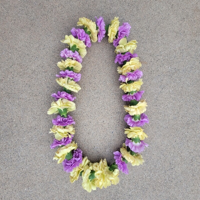 Graduation Lei-Carnation