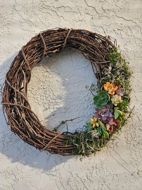 Succulent Wreath Workshop