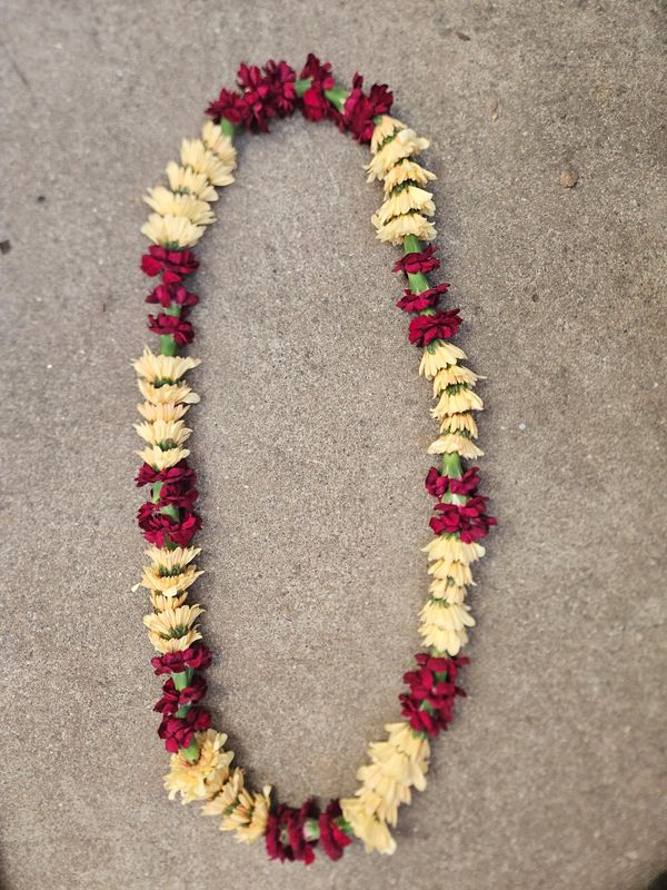 Graduation Lei- Extra-long mum 
