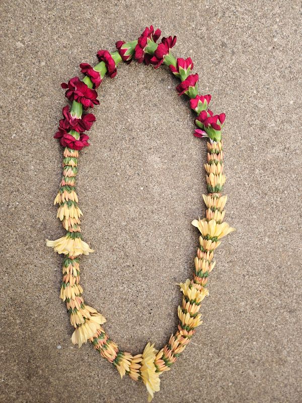 Graduation Lei- Mini mum and carnation