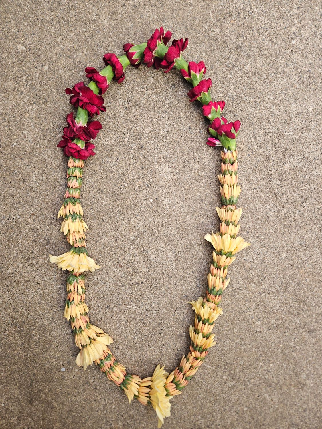 Graduation Lei- Mini mum and carnation