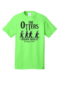 2025 County Unisex Tshirt DHST