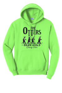 2025 County Unisex Hoodie DHST