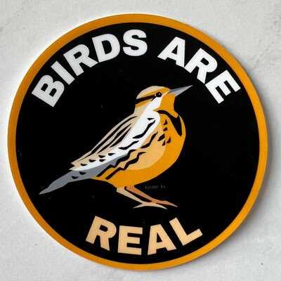 Birds Are Real Sticker