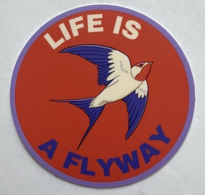 Life Is A Flyway