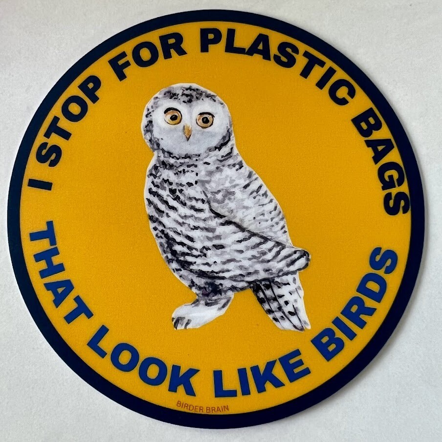 I Stop For Plastic Bags That Look Like Birds Sticker