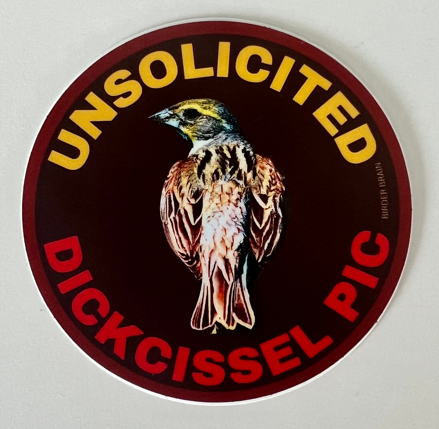 Unsolicited Dickcissel Pic