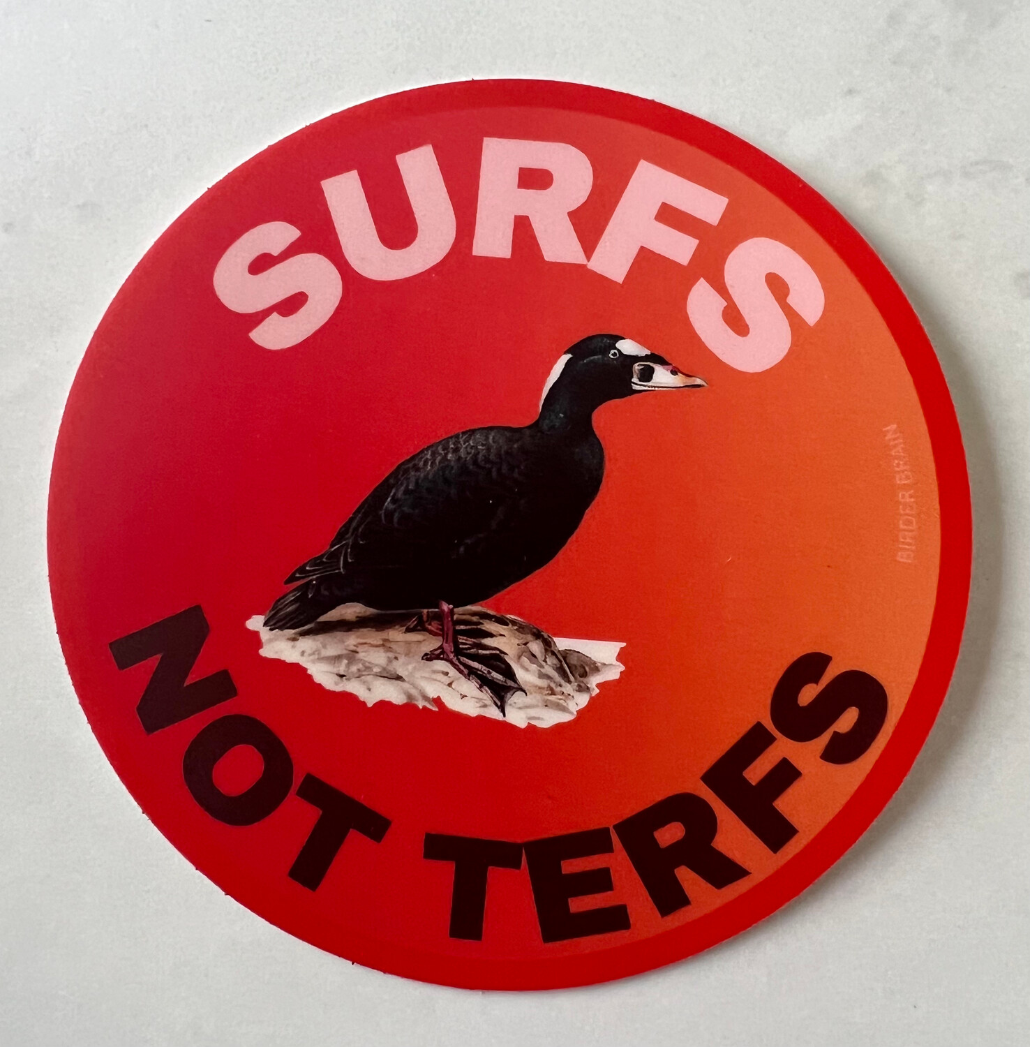 Surfs Not Terfs