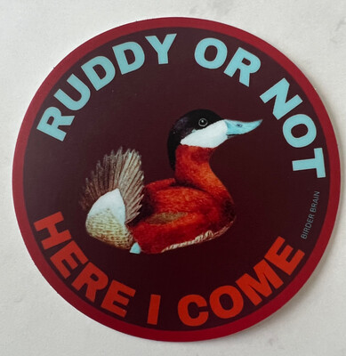 Ruddy Or Not
