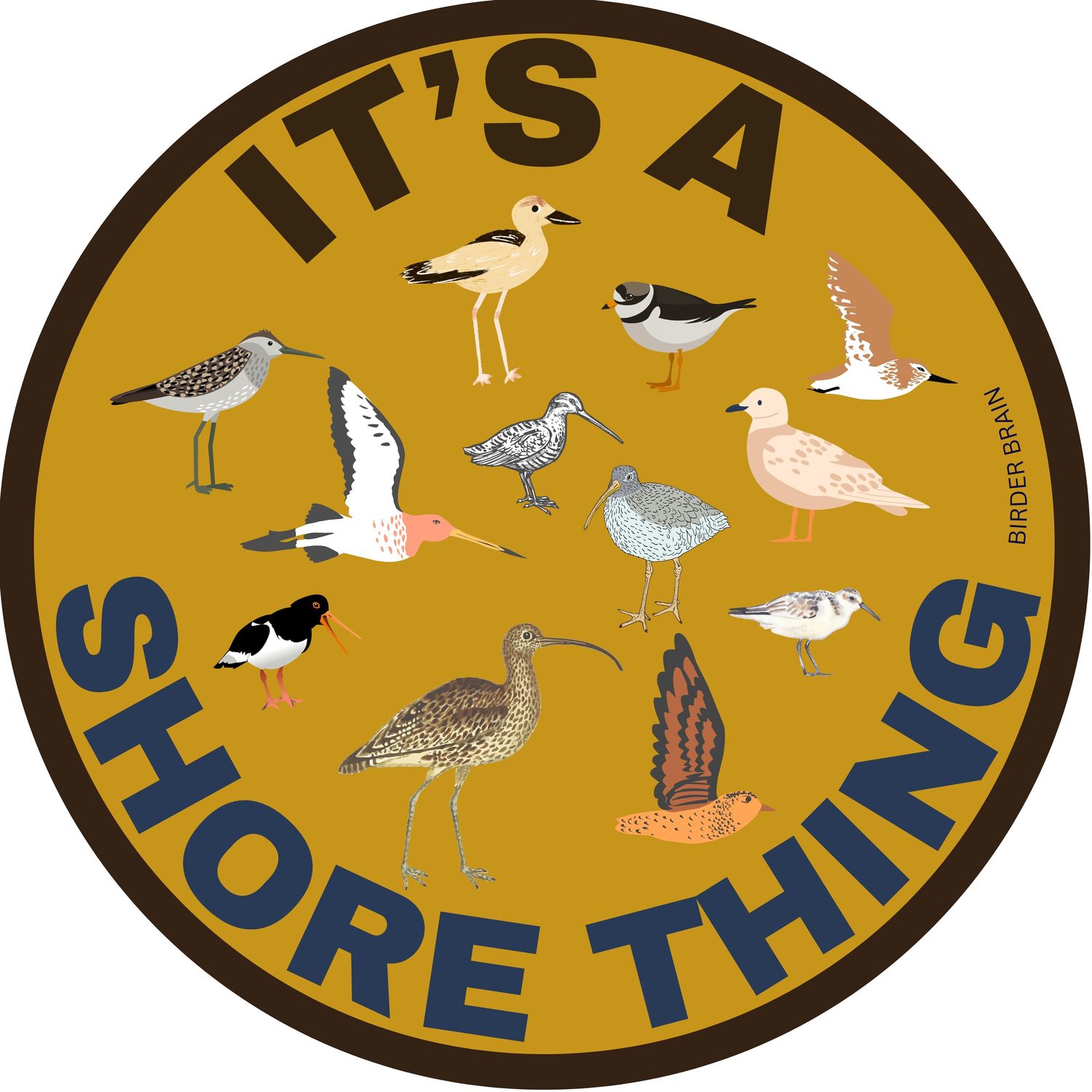 It&#39;s A Shore Thing