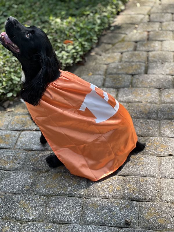 Dog Cape
