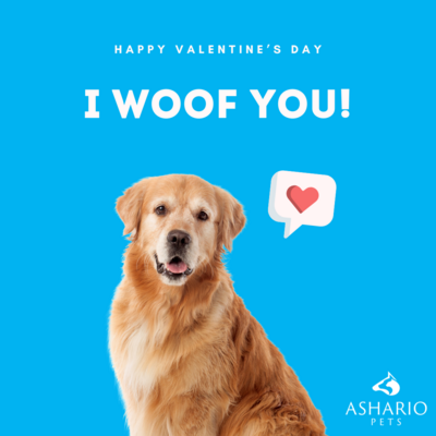 Celebrate Valentine&#39;s Day with your furry friend at our pet store in North York. Explore our inventory of premium pet supplies and organic pet food near you. Discover the best pet products and enjoy local delivery for your convenience.