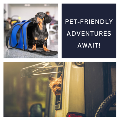 Embark on adventures with your furry companion hassle-free. Our guide offers invaluable tips for seamless outings with your pet, ensuring enjoyable and stress-free travel experiences together.