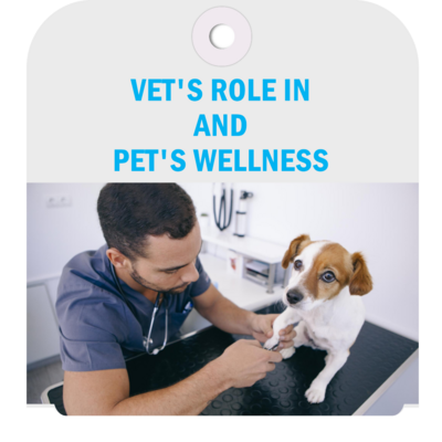 Discover effective strategies to protect your pet from fleas and ticks. Learn about prevention methods, treatment options, and the crucial role your vet plays in maintaining your furry friend&#39;s wellness.
