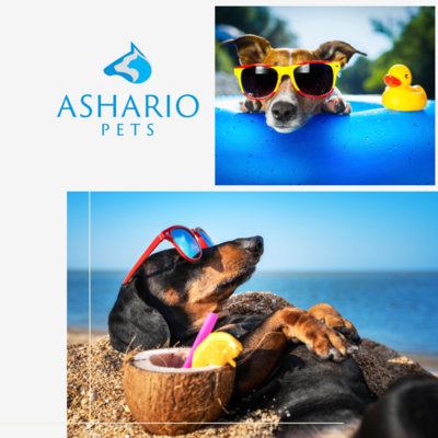 Make this summer a breeze for your pet with our expert advice! Learn how to ensure your furry companion stays cool, hydrated, and protected from the sun&#39;s rays for a season of fun in the sun.