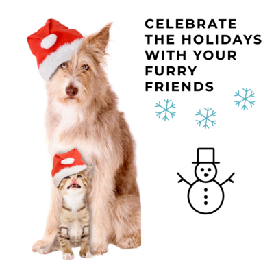 Experience the joy of the winter holidays alongside your beloved pets! Explore enchanting ways to celebrate the season together, including delightful pet-themed decorations, delicious holiday treats, and joyful activities that will warm your hearts. Create cherished memories with your furry friends this winter!