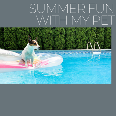 Keep your furry friend cool and comfortable this summer with expert advice from Ashario Pets Store. Learn essential tips for preventing heatstroke, staying hydrated, and enjoying outdoor activities safely.