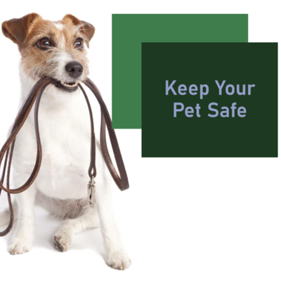 Learn essential pet safety and first aid measures to keep your furry friend out of harm&#39;s way with guidance from Ashario Pets Store. Be prepared for emergencies, recognize signs of distress, and safeguard your pet&#39;s well-being.
