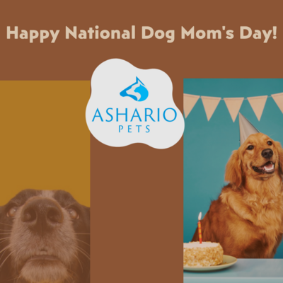 At Ashario Pets Store, we&#39;re honoring the unconditional love of dog moms everywhere on National Dog Mom&#39;s Day! Spoil yourself and your furry friend with our curated collection of pet products, from stylish accessories to delicious treats. Celebrate the special bond you share with your beloved pup!