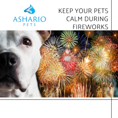 Find relief for your pet&#39;s fireworks anxiety at Ashario Pets. With a variety of calming products like CBD treats and anxiety aids, we help your furry companion stay calm and comfortable during fireworks displays.