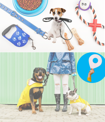 Ensure your pet&#39;s comfort and safety with the perfect accessories from Ashario Pets. From cozy beds to durable leashes, discover everything you need to keep your furry friend happy and secure.