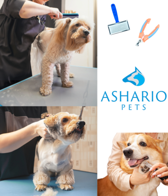 Achieve professional grooming results in the comfort of your home with Ashario Pets. Explore our range of grooming products and accessories designed to make grooming sessions stress-free and enjoyable.