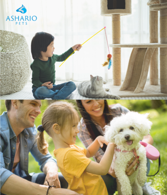 Unlock the power of pet routine with Ashario Pets. Establishing a consistent routine enhances your pet&#39;s well-being, from meal times to play sessions, ensuring a harmonious life together.