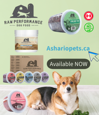 Unleash your pet&#39;s potential with Raw Performance, available at Ashario Pets Store. Crafted with premium ingredients, these products ensure your pet thrives on a diet rich in nutrients.