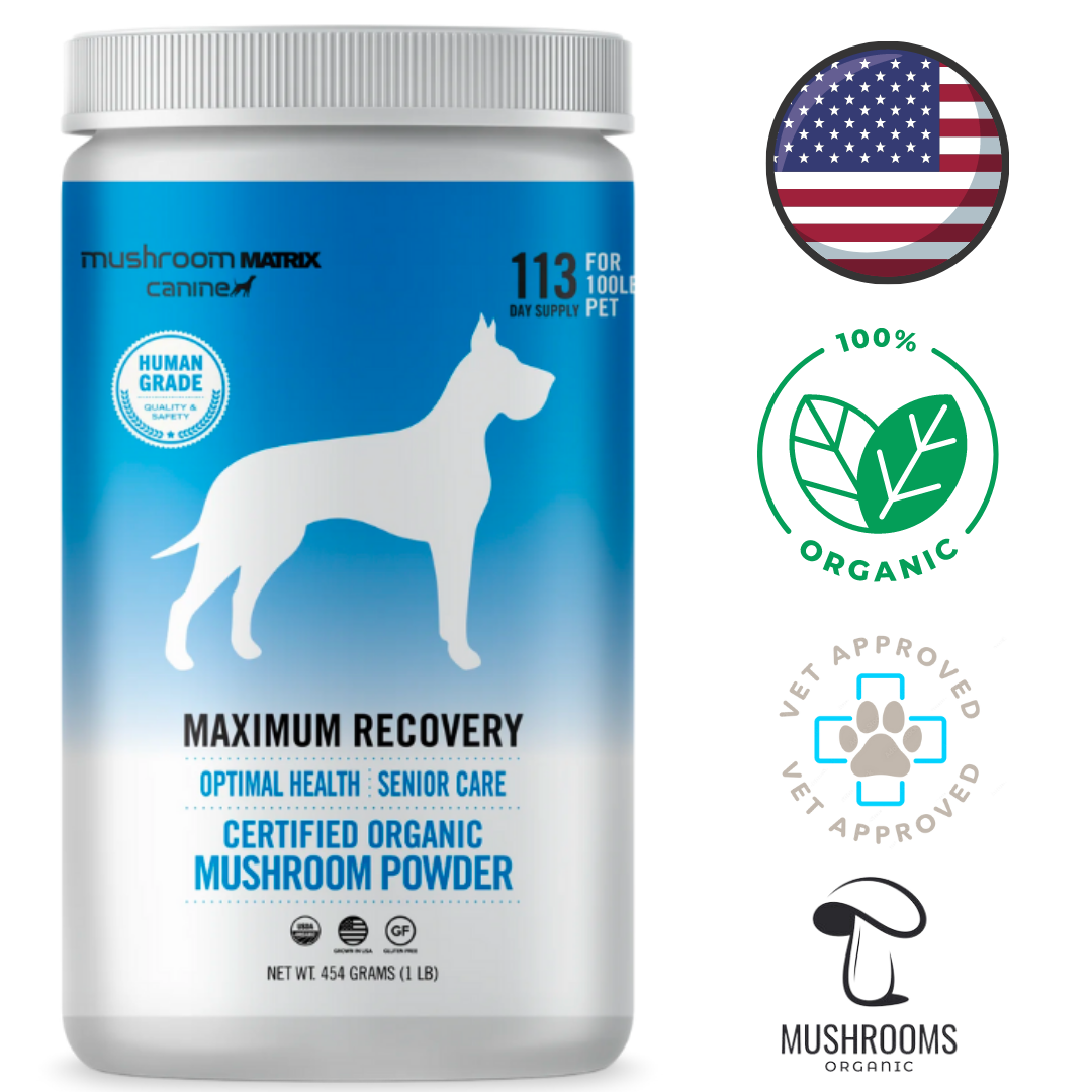 Canine Matrix Maximum Recovery Dog and Cat 454 Grams