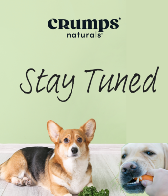 Crumps&#39; Naturals, a spotlight brand at Ashario Pets Store, offers wholesome treats your pet will adore. With a commitment to quality and natural ingredients, Crumps ensures top-notch nutrition.