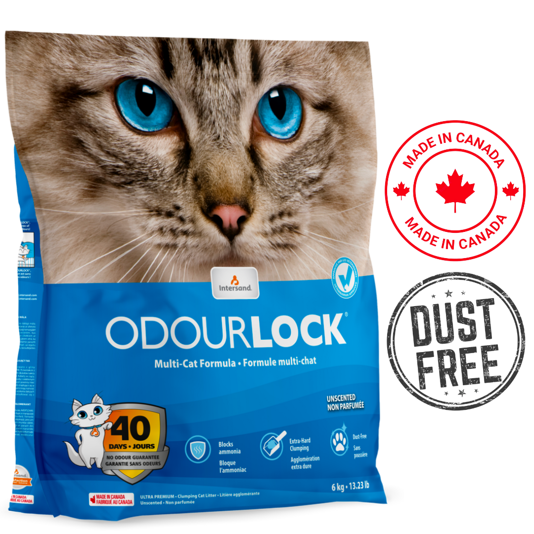 OdourLock Ultra Premium Unscented Cat Litter 6 Kg
